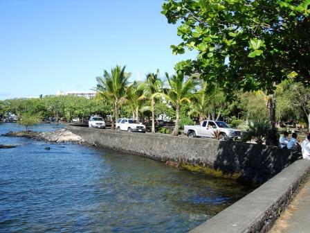 Crowded Hilo Park